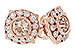 C216-21843: EARR .75 MORGANITE .98 TGW