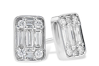 D300-73725: EARR .19 BAG .30 TW