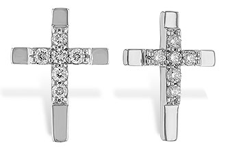 D301-69125: EARRINGS .14 TW