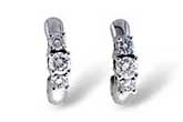 E028-07279: EARRINGS .50 TW