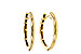 E302-61834: GOLD EARRINGS (16MM)