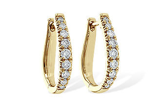 F218-02797: EARR .50 TW