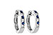 G028-93643: EARRINGS .16 SAPP .26 TGW