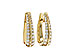 H302-57352: EARRINGS 1.00 TW