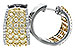 L217-11870: EARR 2.14 YELLOW DIAS 2.45 TW