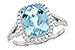 L218-05506: LDS RG 2.30 AQUA 2.65 TGW