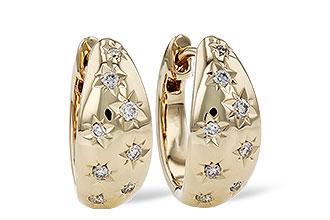 M303-45515: EARRINGS .17 TW